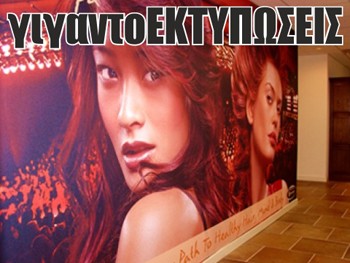 Γιγαντοεκτυπωσεις - ψηφιακες εκτυπωσεις Σητεια
